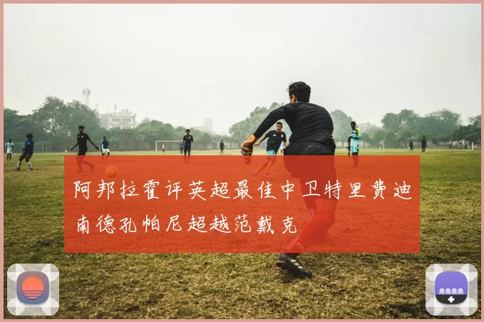 阿邦拉霍评英超最佳中卫特里费迪南德孔帕尼超越范戴克