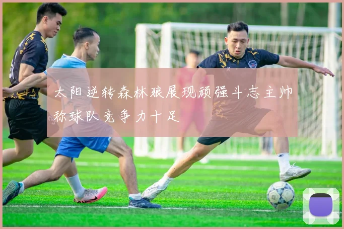太阳逆转森林狼展现顽强斗志主帅称球队竞争力十足