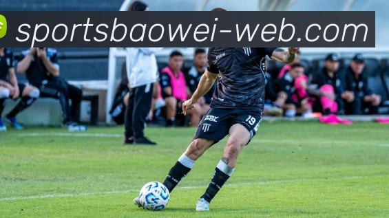 宝威体育APP 封面图